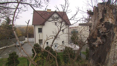 Černé ovce - 15. ledna 2024