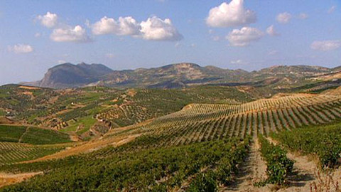 Putování za vínem - 1/16 Řecko - Attika a Kréta