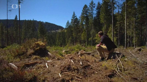 Postřehy odjinud - Porýní očima Pavla Poláka