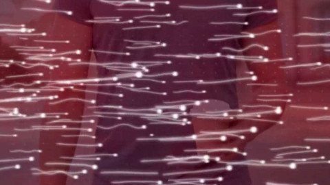 Bilance - Jak se tvoří člověk 2.0