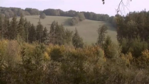 Nedej se! - Obora Radějov