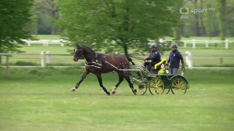 Jezdectví - Mezinárodní závody spřežení CAI Kladruby nad Labem