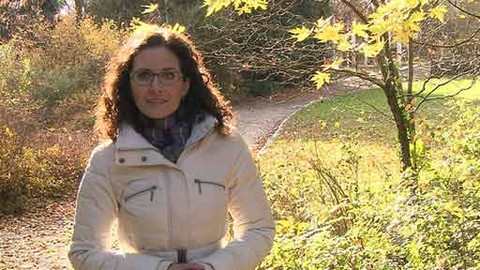 Křesťanský magazín - 11. listopadu 2012