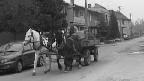 Ta naše povaha česká - Sedlák, druh na vymření