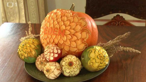 Toulavá kamera - 29. listopadu 2015