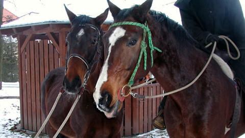 Máte mě! - 27. února 2011