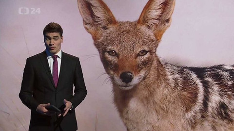 Věda 24 - 15. ledna 2017