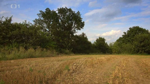 Kapka vody - Remízky a meze