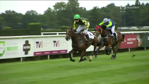 Velká pardubická - III. kvalifikace na 135. Velkou pardubickou se Slavia pojišťovnou