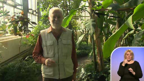 Sváteční slovo - Sváteční slovo doktora Zdeňka Susy