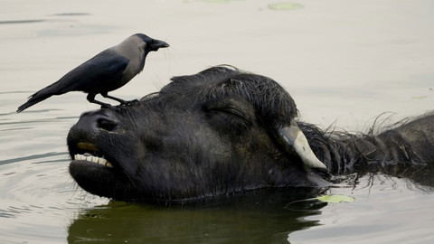 Na cestě - Na cestě po nepálské Pokhaře