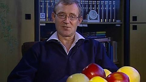 Znamení a rituály - Stromy