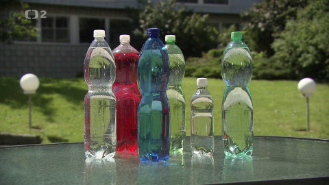 Nedej se! - Česká PETka