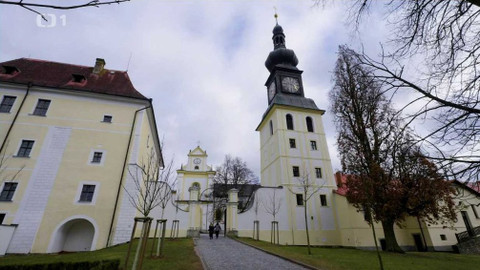 Toulavá kamera - 11. února 2024