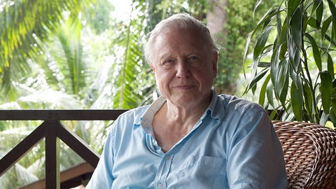 Attenborough: 60 let v divočině - Epizoda 3/3