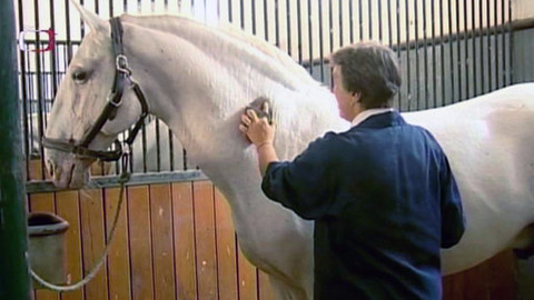 Kvarteto - 22. listopadu 2011