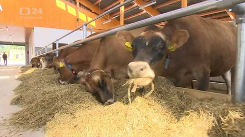 Regiony ČT24 - 26. září 2020