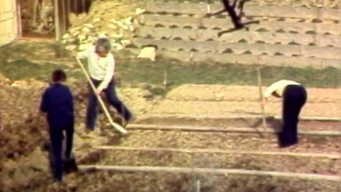 Archiv ČT24 - Pěstitelé a zahrádkáři