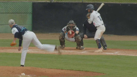 Česká baseballová Extraliga - Tempo Praha - Arrows Ostrava