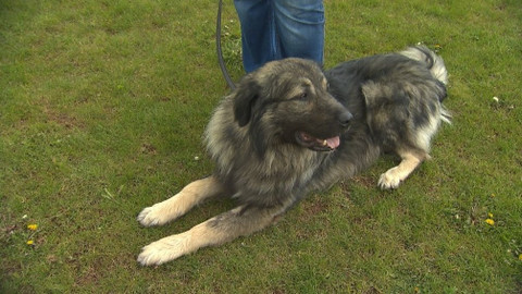 Chcete mě? - 1. října 2017