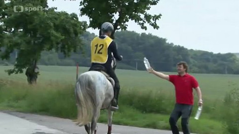 Jezdectví - M ČR v jezdecké vytrvalosti Mikulov