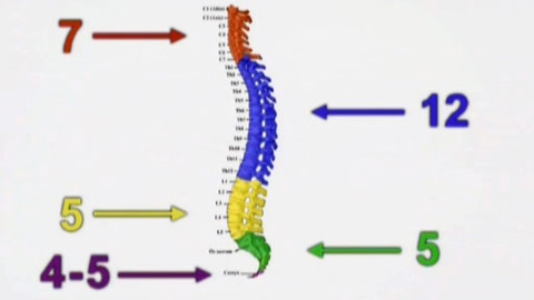 Alchymie bytí - Když se řekne páteř