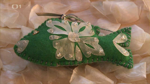 Toulavá kamera - 11. prosince 2022