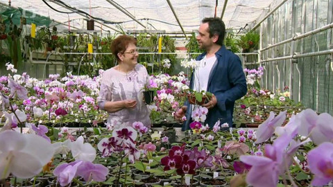 Polopatě - 25. března 2018