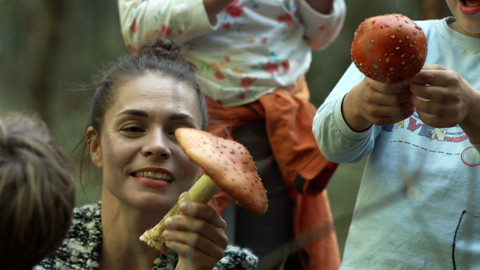 Herbář - Do lesa, houby s octem