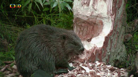 Terčin zvířecí svět - 13. října 2023