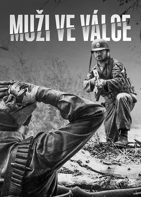 Muži ve válce