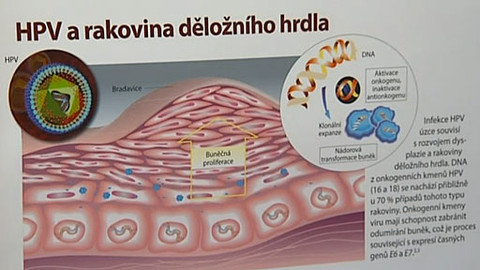 Tep 24 - 3. prosince 2011