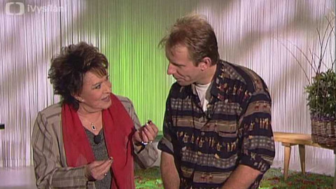 Dobrá rada nad zlato - 9. února 2008