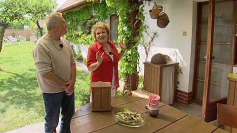 Dobrá rada nad zlato - 24. listopadu 2007