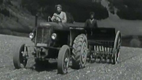 Archiv ČT24 - Pětkové květny