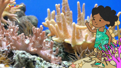 Velká kniha o zvířátkách - Epizoda 44/52