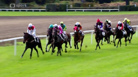 Velká pardubická - Velká cena Pardubic