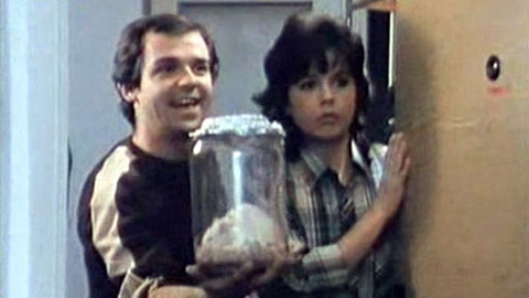 Bakaláři - Profesor Popelnice