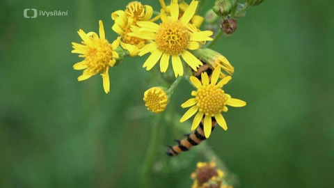 Kapka vody - Vodní plány měst