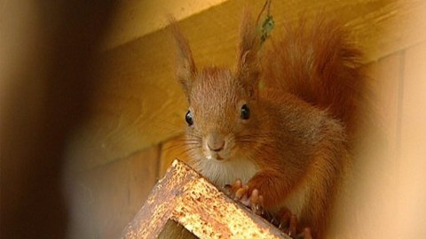 Chcete mě? - 19. června 2009