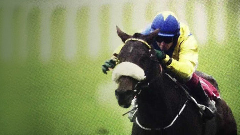 Dostihy - Závěrečný dostihový den