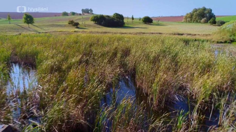 Kapka vody - Pozemkové úpravy