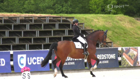 Jezdectví - CDI-W Olomouc