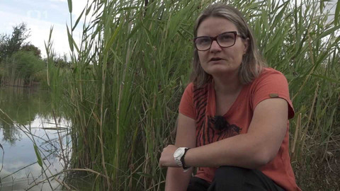 Týden v regionech (Brno) - 6. srpna 2022