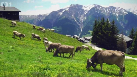 Postřehy odjinud - Švýcarské Alpy očima Petra Voldána