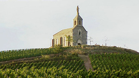 Putování za vínem - 7/15 Beaujolais