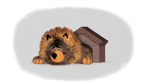 Kamarádi z koše - 22/52 Drban a psí bezdomovci