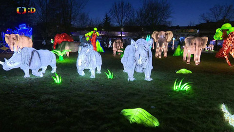 Zprávičky - 25. ledna 2024