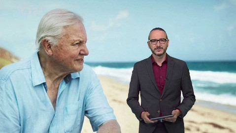 Horizont ČT24 - 11. července 2019