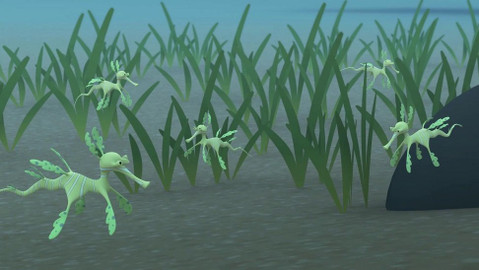 Leo, strážce přírody - Řasovník rozedraný